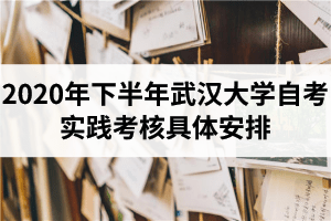 2020年下半年武汉大学自考实践考核具体安排