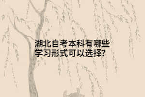 湖北自考本科有哪些学习形式可以选择？